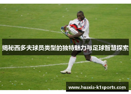 揭秘西多夫球员类型的独特魅力与足球智慧探索