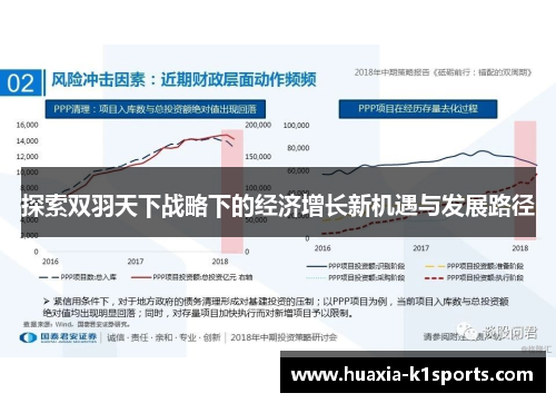 探索双羽天下战略下的经济增长新机遇与发展路径