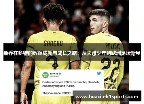 桑乔在多特的辉煌成就与成长之路：从天赋少年到欧洲足坛新星