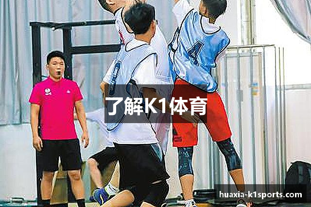 了解K1体育